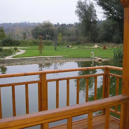 Vis Vitalis 4*