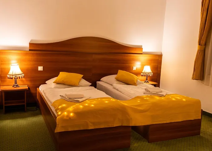 Vis Vitalis 4*