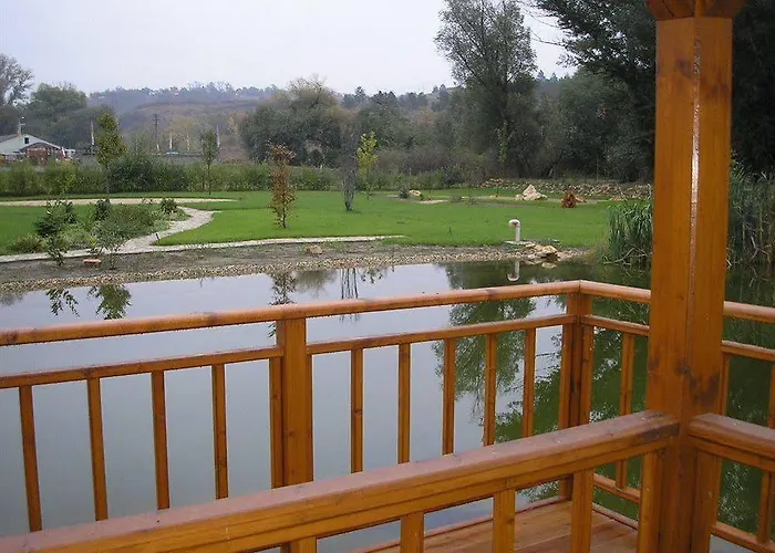Vis Vitalis 4*