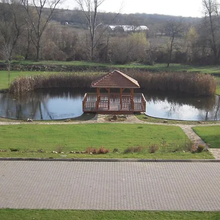 Vis Vitalis 4*